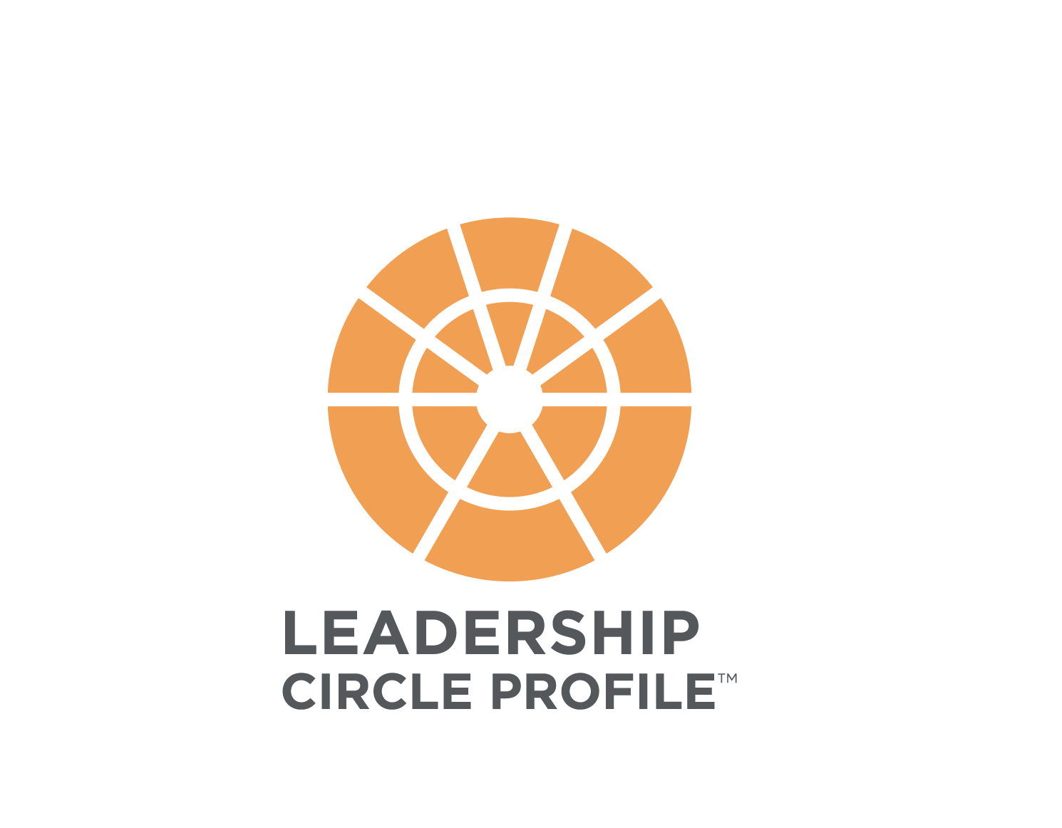 Leadership Circle Profile Consultant Singapore